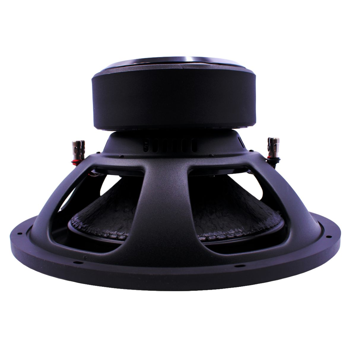 Black Dog 15" Dual Coil Subwoofer- 3000w