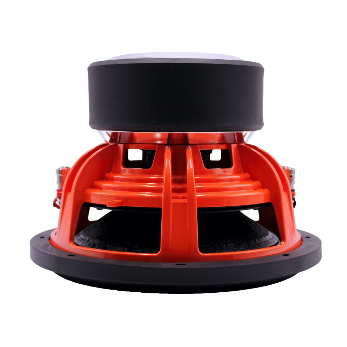 Black Dog APEX 12" Dual Coil Competition Series Subwoofer- 3600w